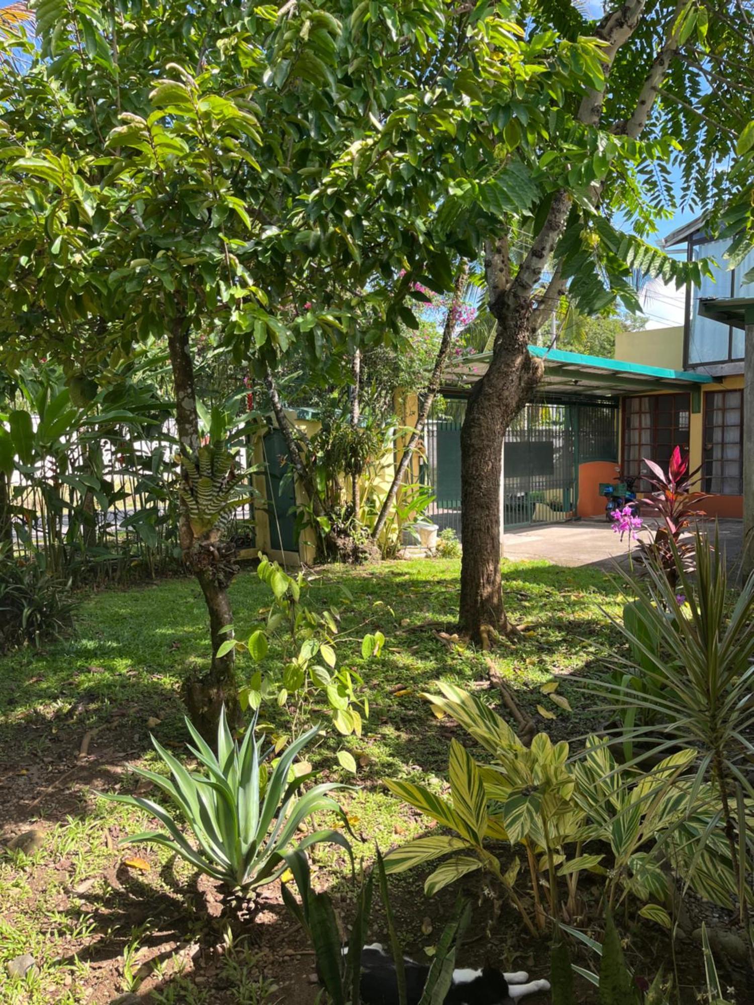 Hotel Pura Vida Puerto Viejo de Talamanca Exterior photo