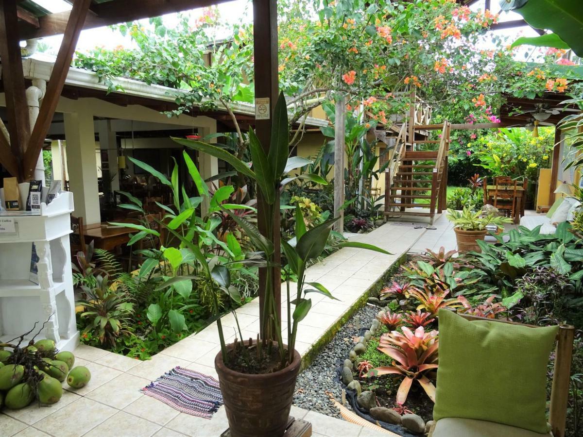 Hotel Pura Vida Puerto Viejo de Talamanca Exterior photo